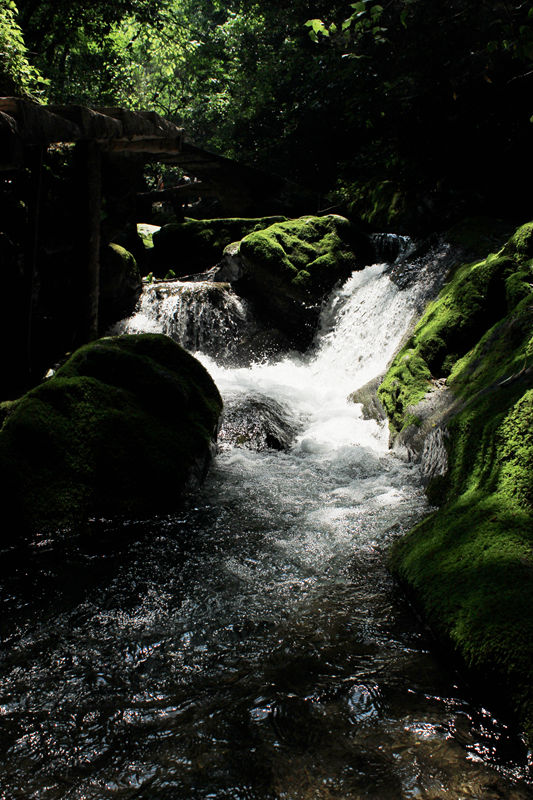 香水河-五道峡 246_副本.jpg