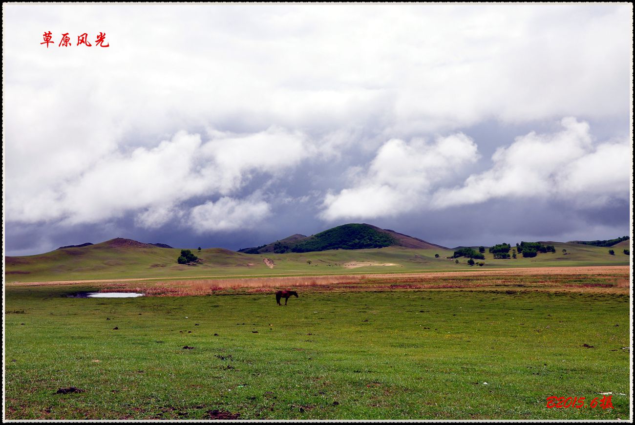 dsc_0940__.jpg