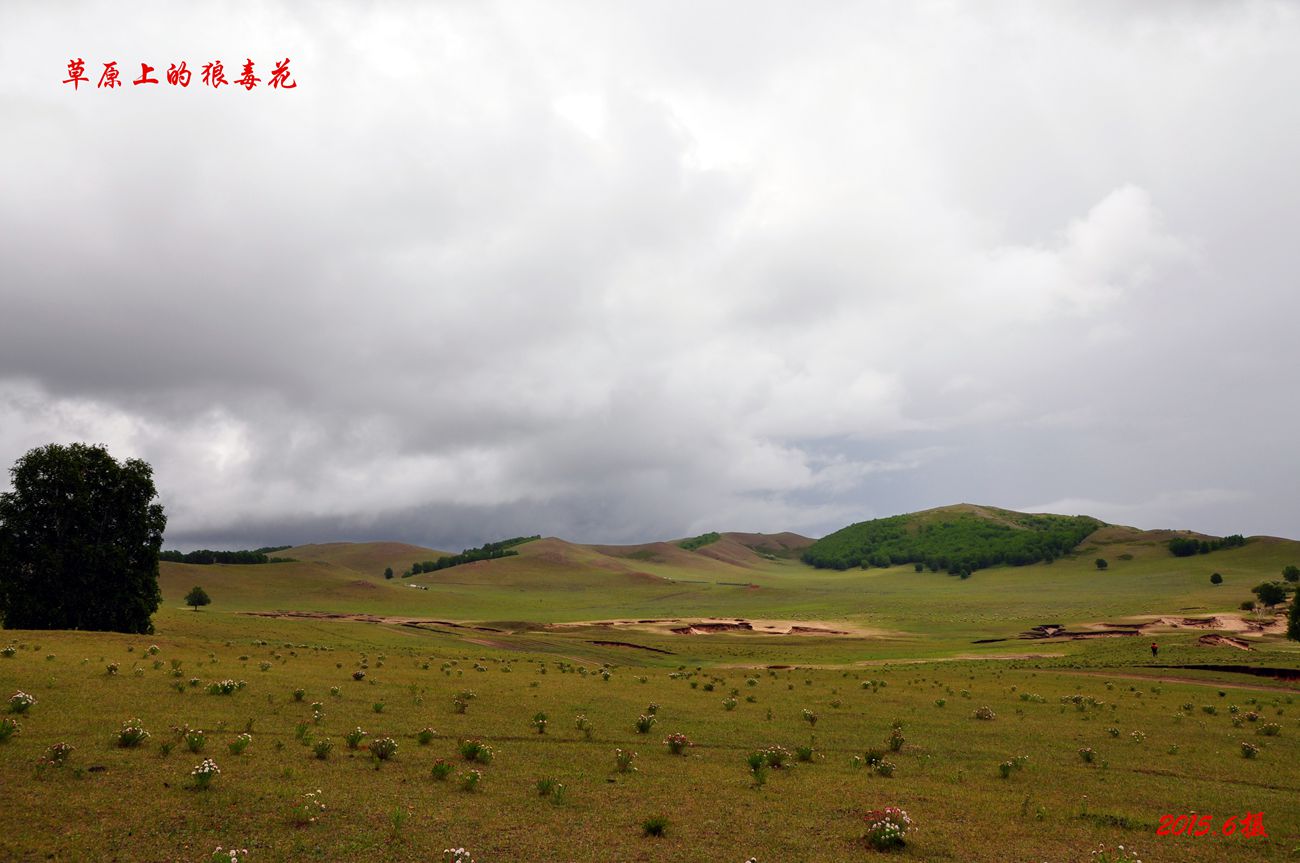dsc_0991__.jpg
