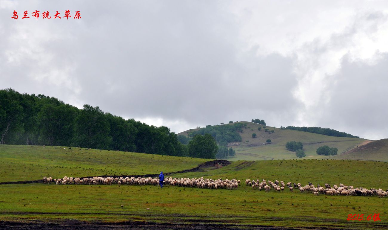 dsc_1004__.jpg