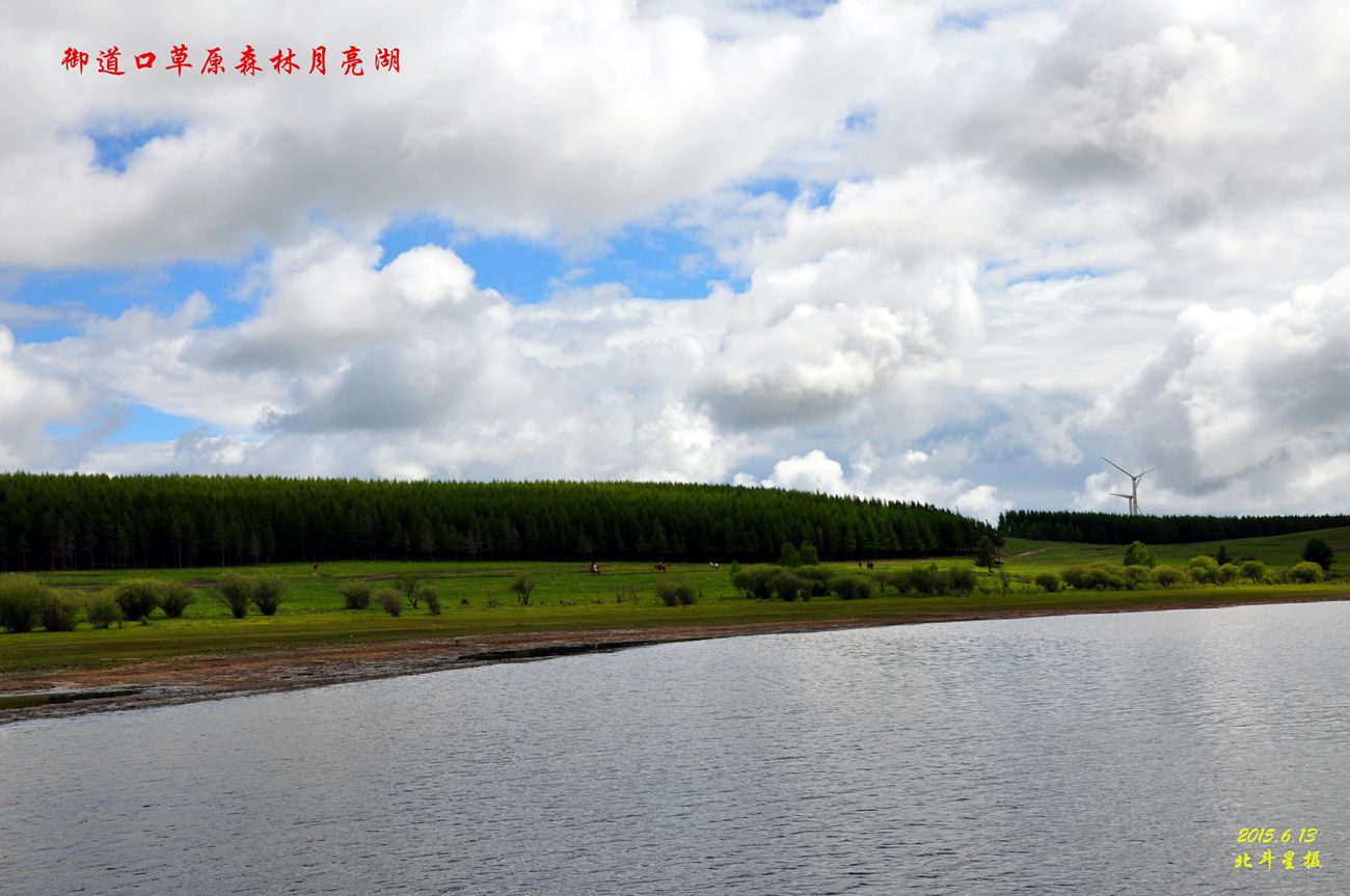 dsc_1251_副本_副本.jpg