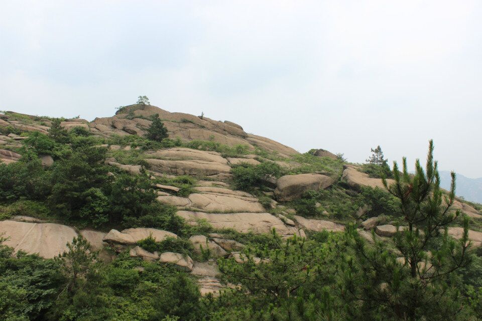 qqͼƬ20150620000905.jpg