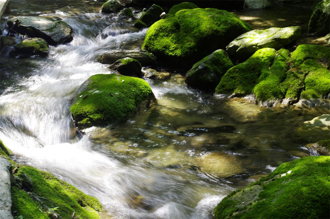 _igp7918.jpg