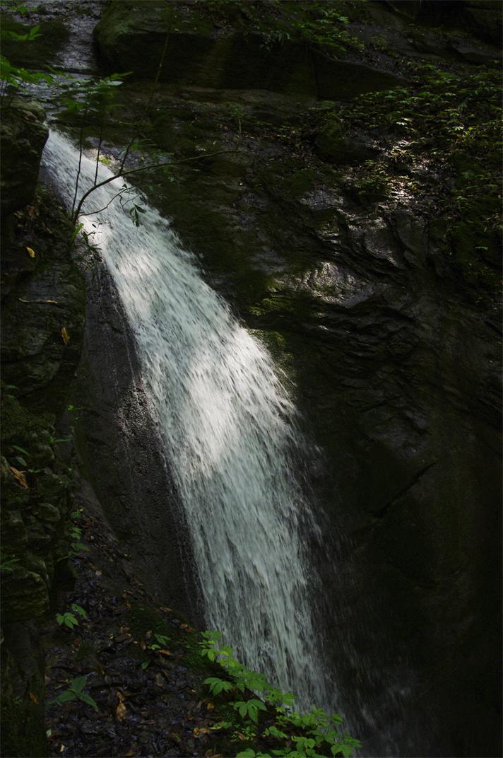 _igp7937_.jpg