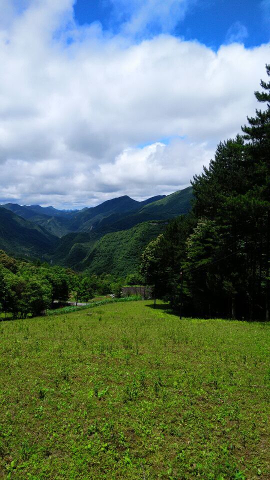 qqͼƬ20150623223909.jpg