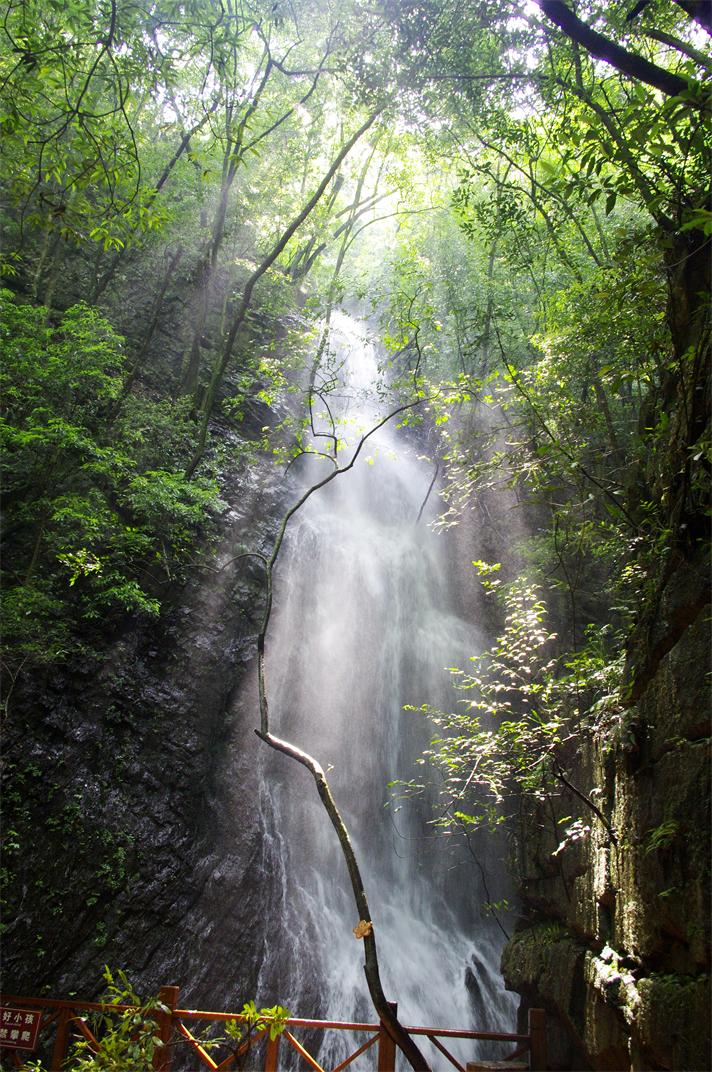 _igp7953_.jpg