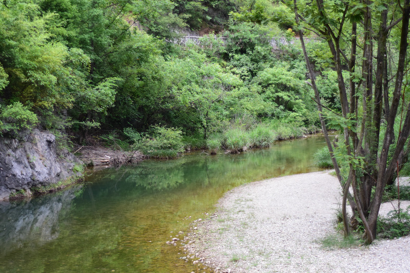 dsc_0676_1.jpg