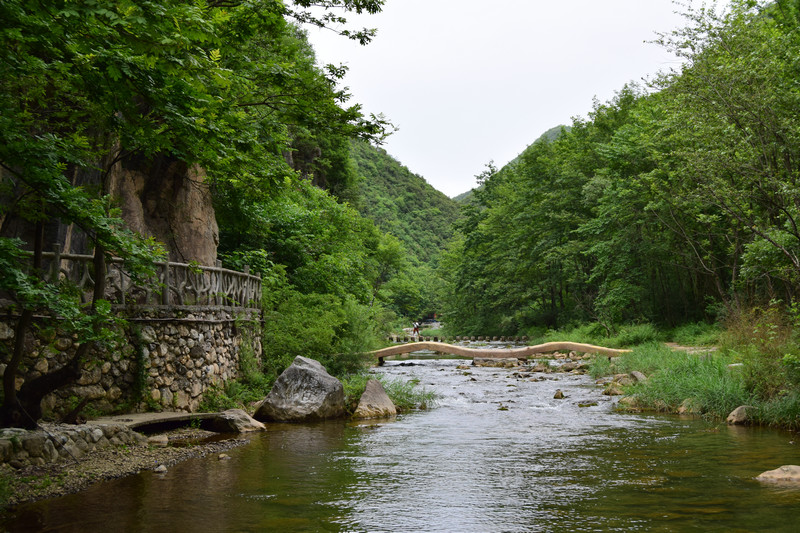 dsc_0686_1.jpg
