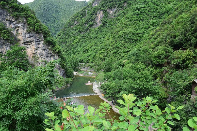 dsc_0802_1.jpg