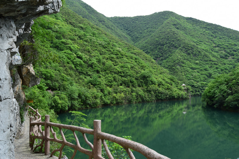 dsc_0815_1.jpg