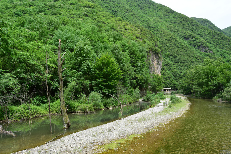dsc_0916_1.jpg
