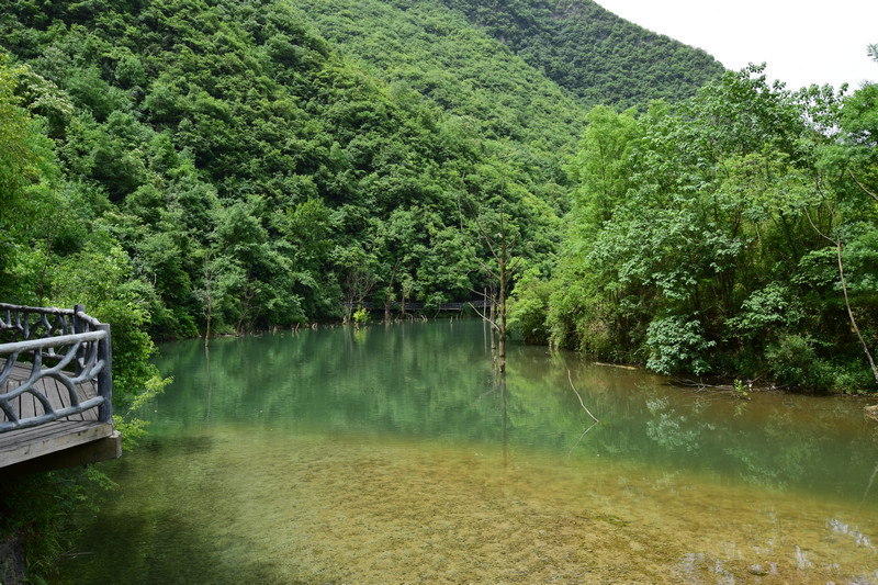 dsc_0919_1.jpg