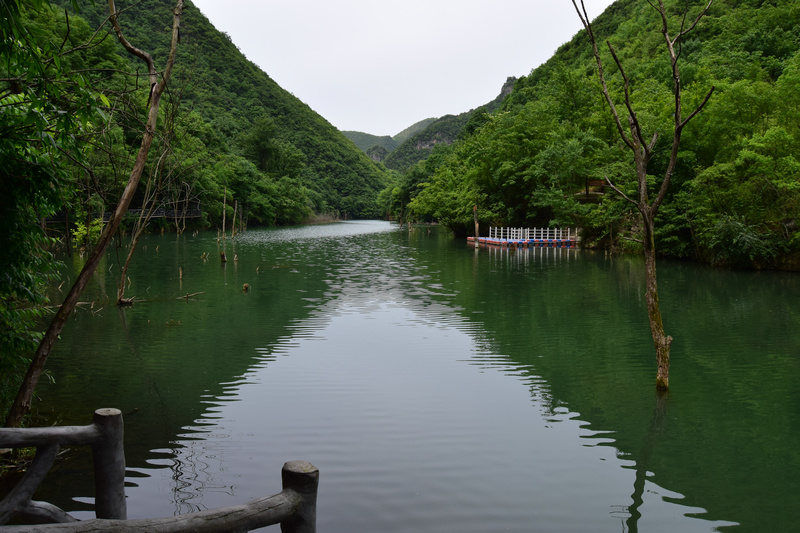 dsc_0930 - _1.jpg