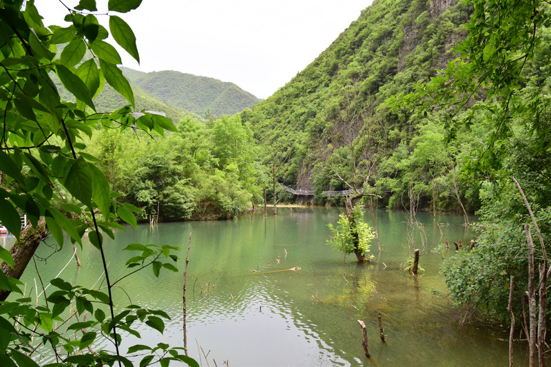 dsc_0942 - _1.jpg