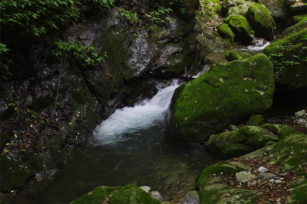 _igp7961.jpg