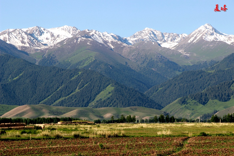 img_8751.jpg