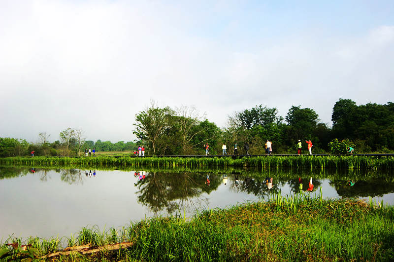 dsc01742.jpg