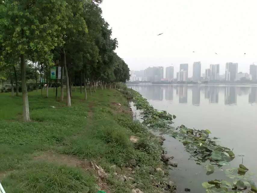shahuʪ.jpg