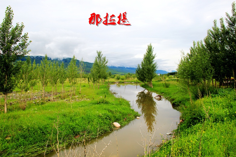 img_8875.jpg