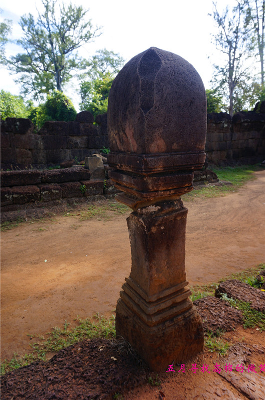 _dsc9817_.jpg