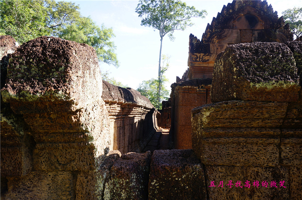 _dsc9862_副本.jpg