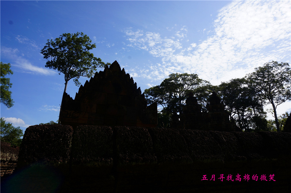 _dsc9864_副本.jpg