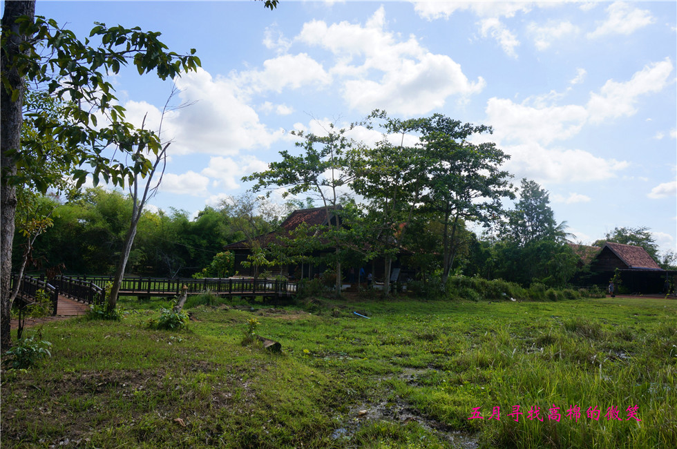 _dsc9938_.jpg