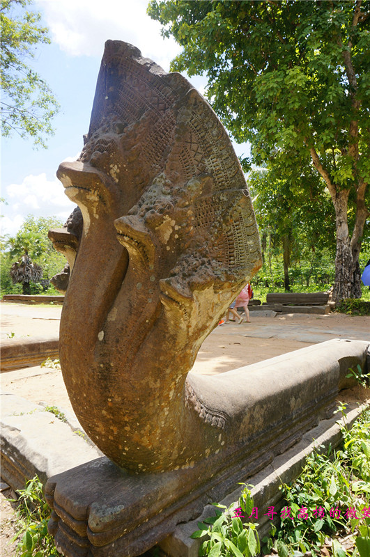 _dsc9955_.jpg