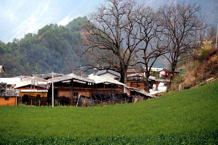 95.jpg