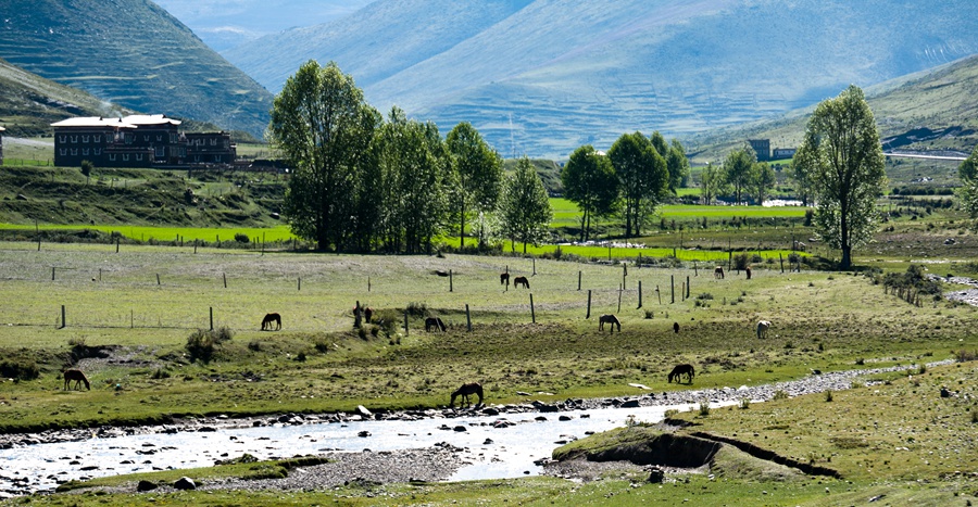 _dsc3076.jpg