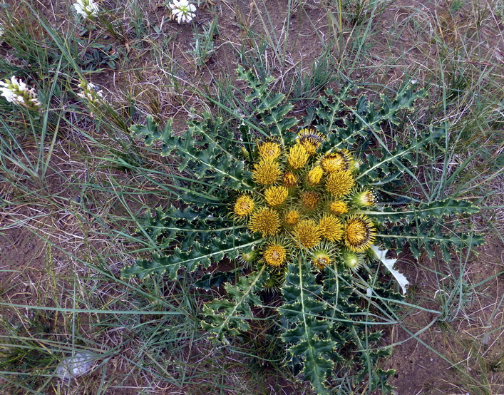 p1240554.jpg
