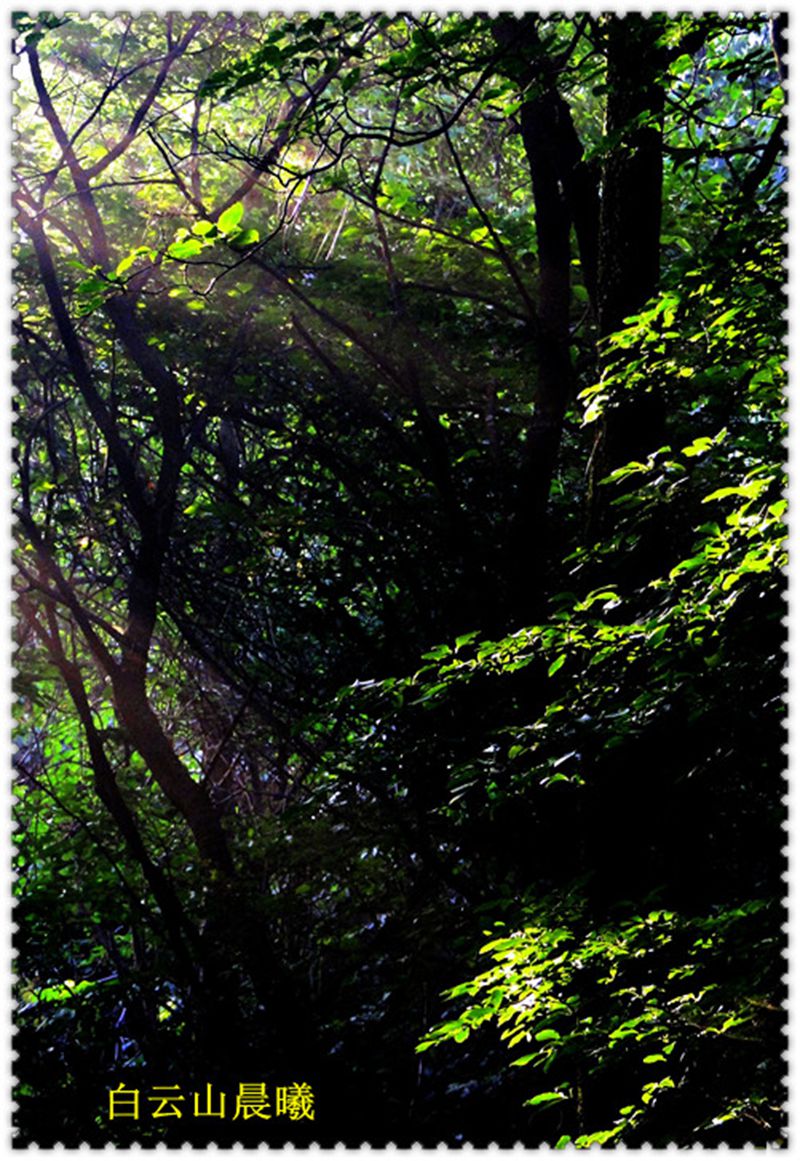 dsc00266_副本_副本.jpg