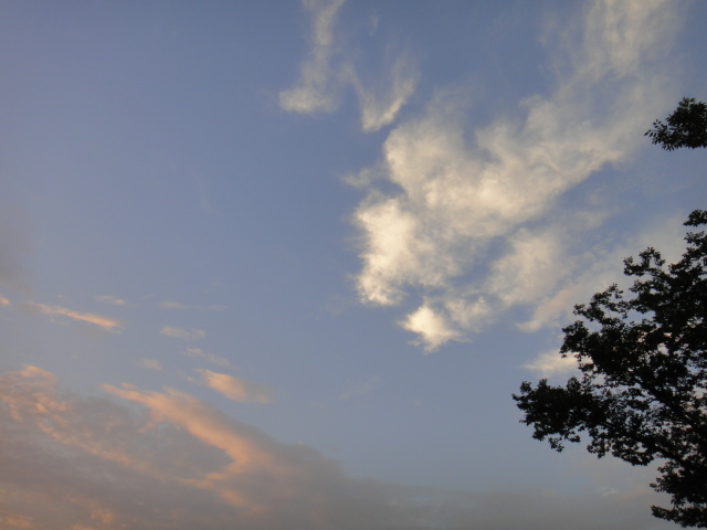 dsc06485.jpg