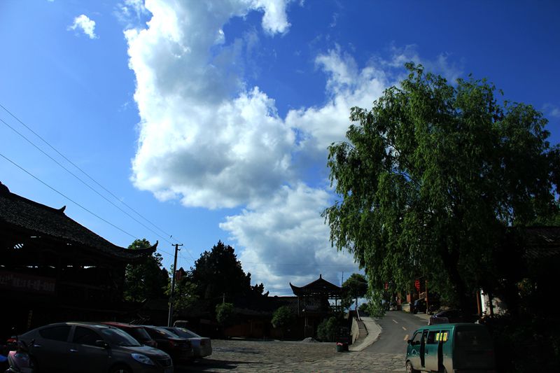 img_1448.jpg