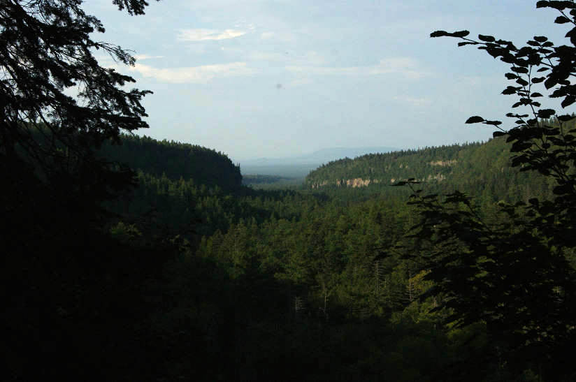 dsc05441.jpg