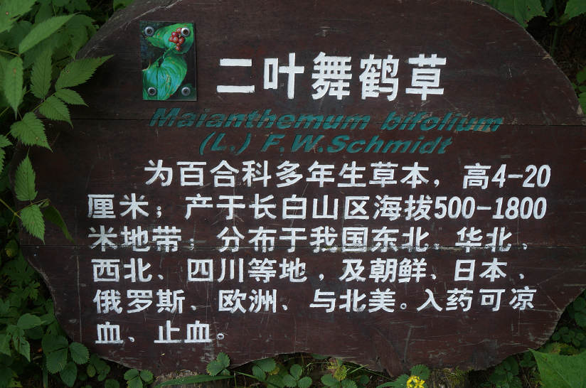 dsc07481.jpg