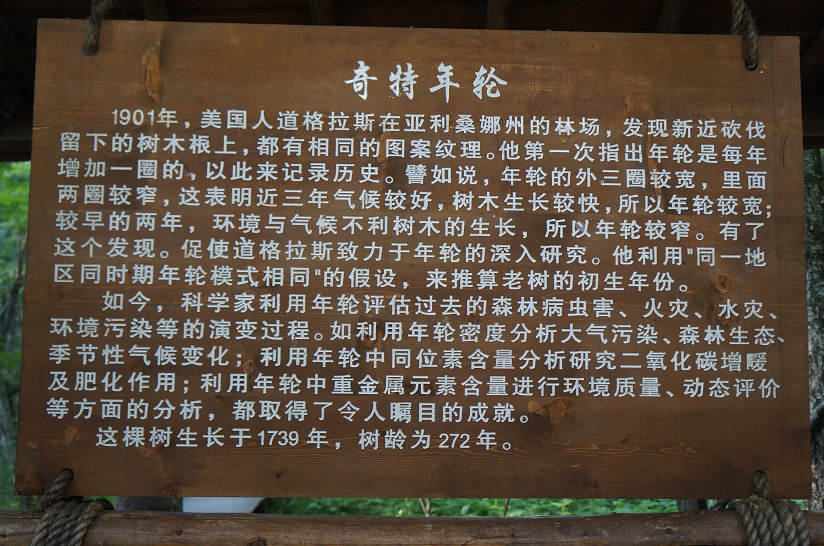 dsc07483.jpg