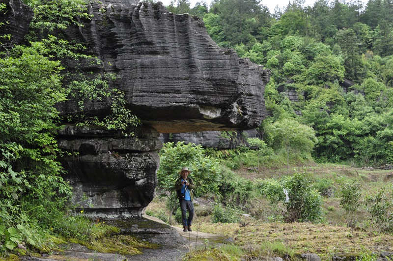 _dsc0299_.jpg