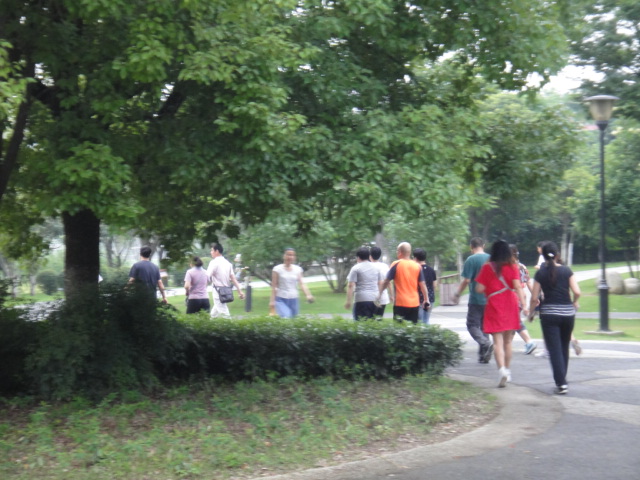 dsc06529.jpg