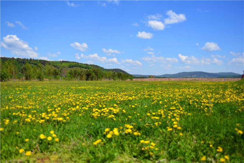 dsc_3152.jpg