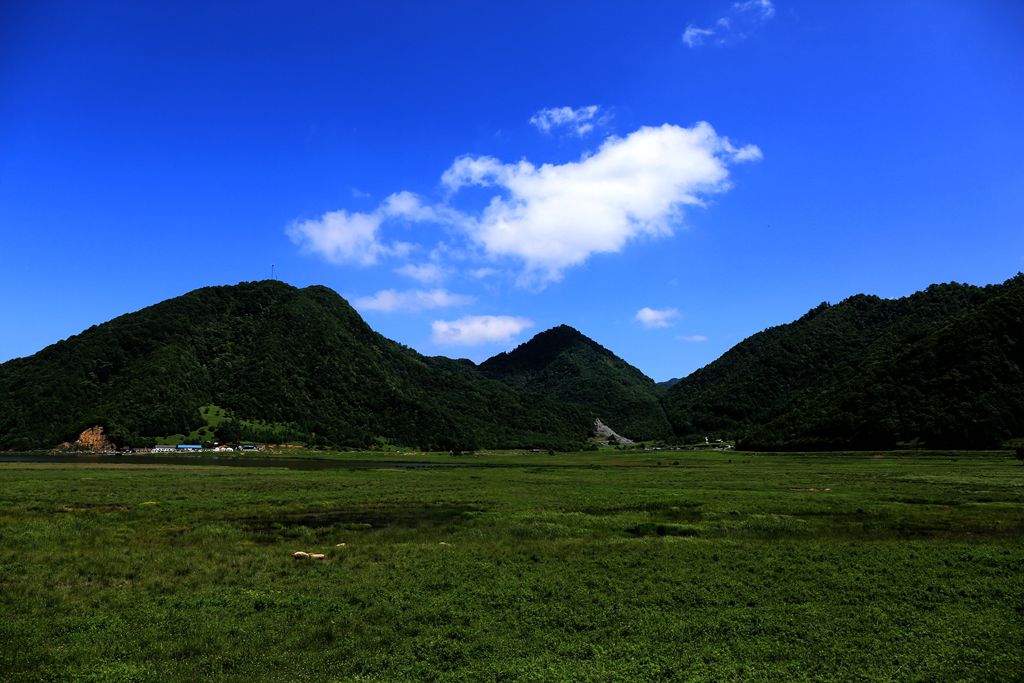 083a1014.jpg