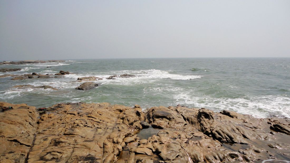 neo_img_dsc00878.jpg