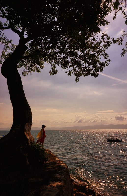 dsc08478 800.jpg