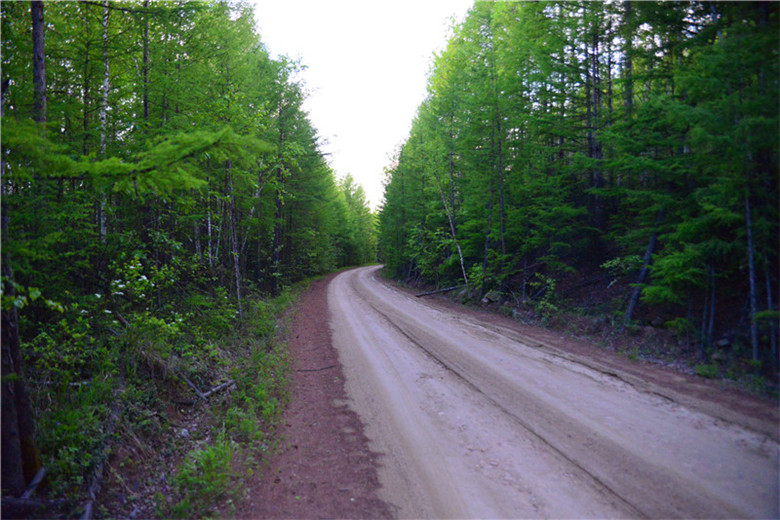 dsc_3262.jpg