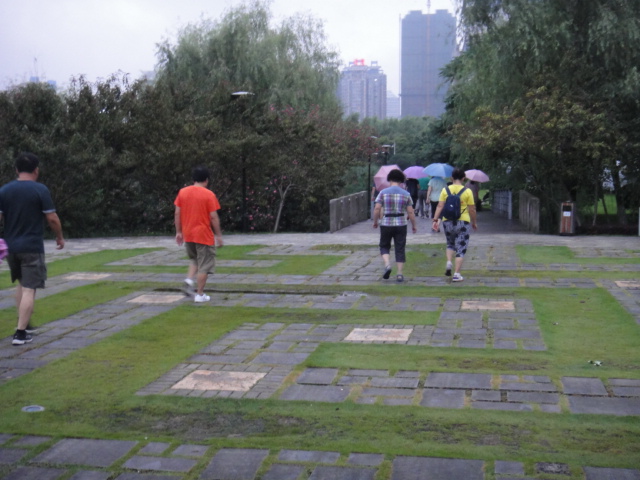 dsc06945.jpg