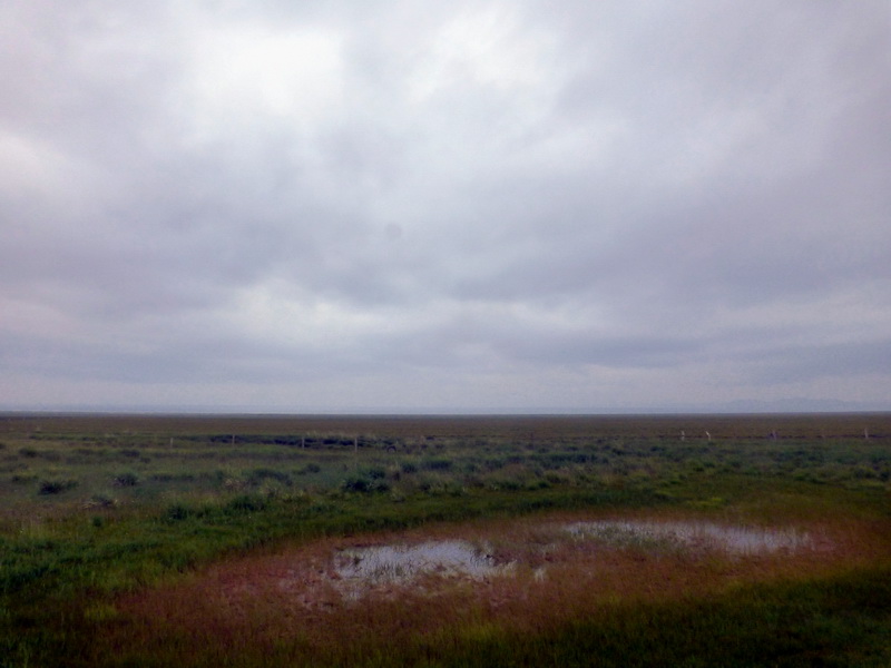 p1240584.jpg