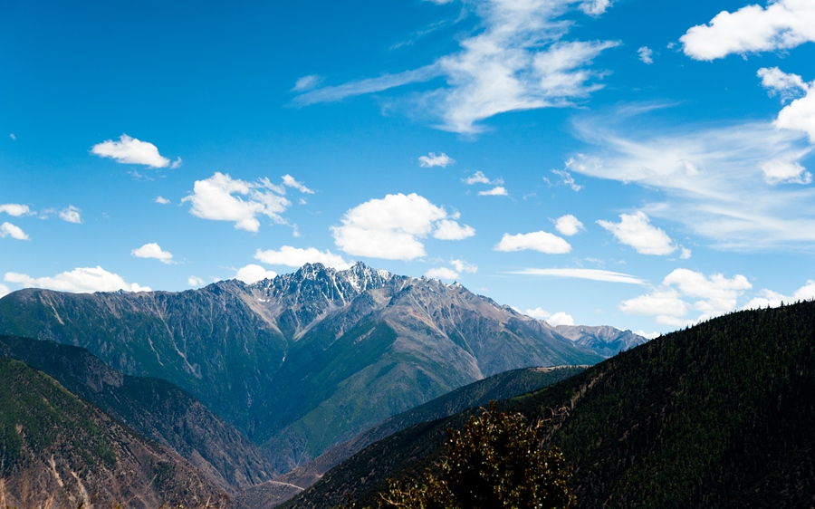 _dsc3455.jpg
