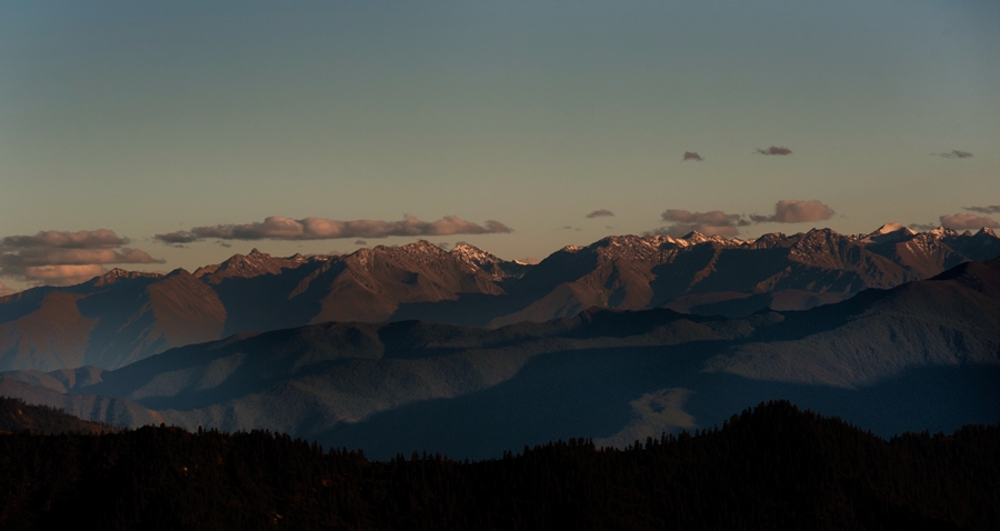 _dsc3515.jpg