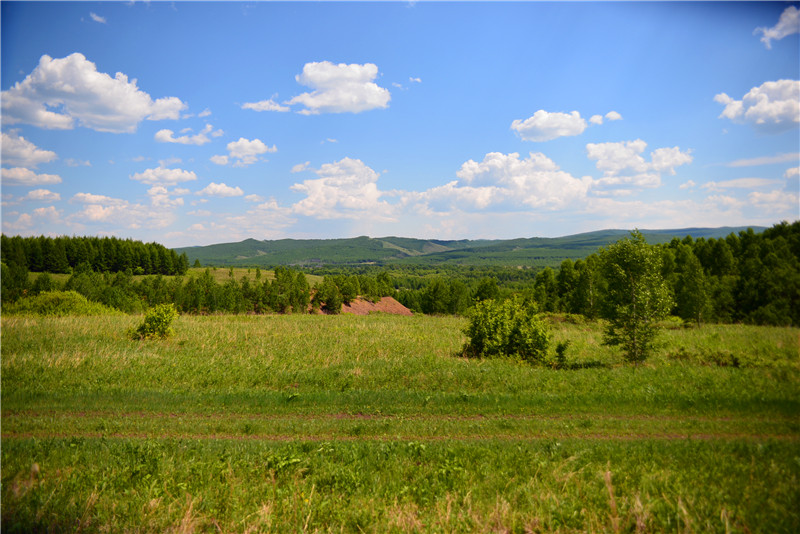 dsc_3482.jpg
