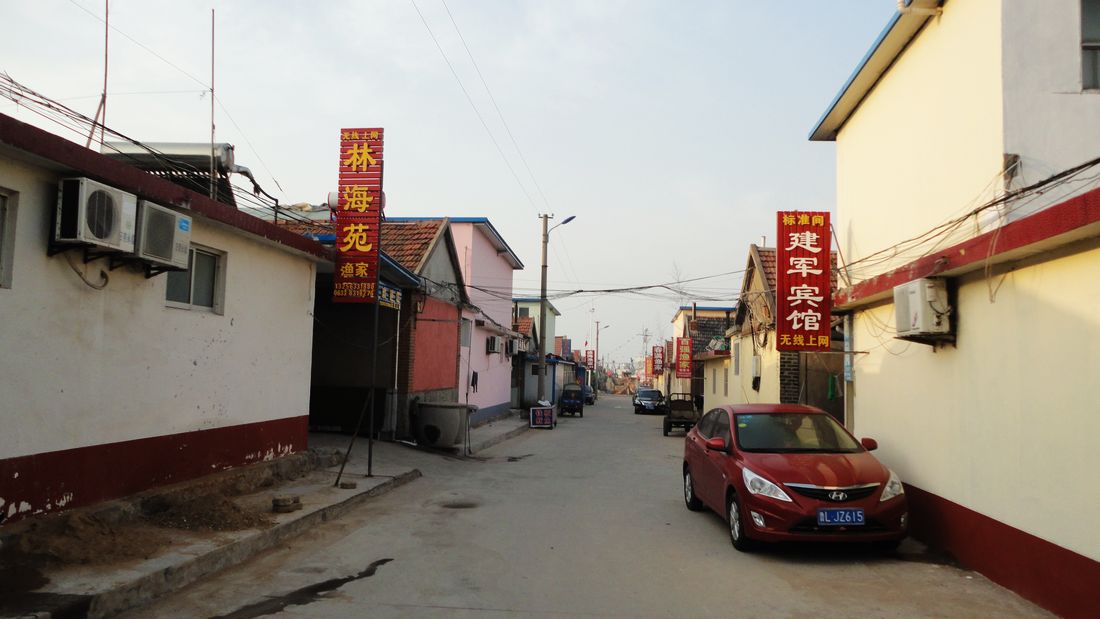 neo_img_dsc00935.jpg